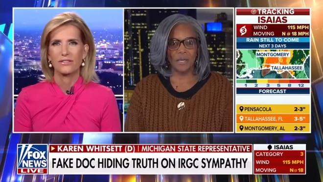 Michigan voters will put common sense over a party, Democratic state rep says