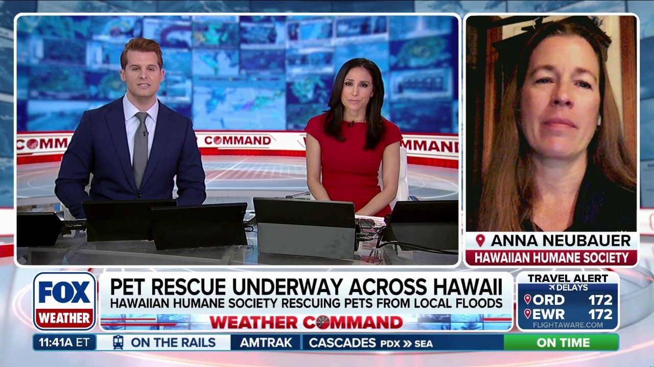 Pet rescues underway across Hawaii following powerful storm