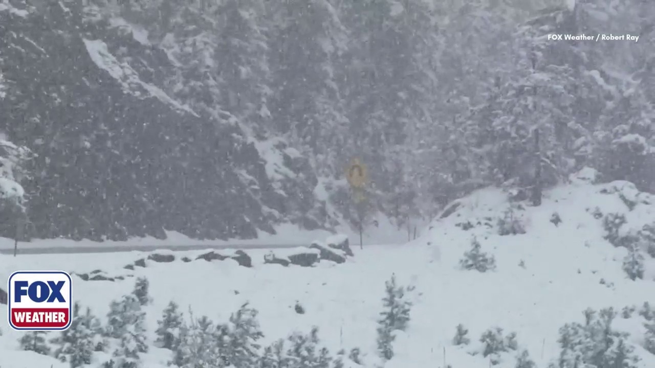 May snowstorm brings winter back to Colorado Rockies
