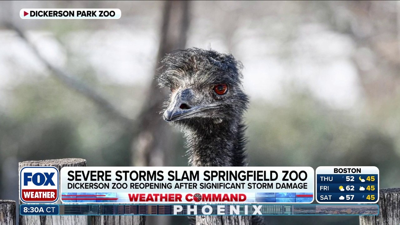 Missouri zoo sustained significant damage from dangerous hailstorm