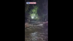 Watch: First responders rescue Texans trapped by dangerous floodwaters