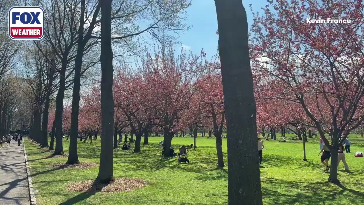 People flock to the Brooklyn Botanical Garden to enjoy the spring heat