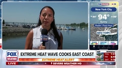 New Yorkers brave dangerous heat wave to keep holiday plans alive
