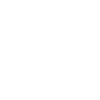 Network Icon