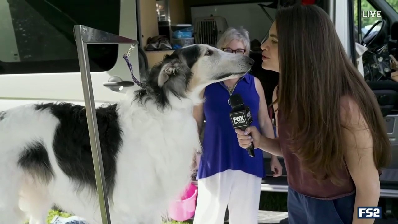 Charlotte Wilder meets Pippin the Borzoi